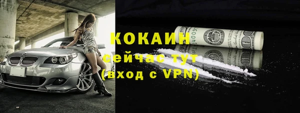 прущие грибы Беломорск