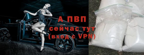 прущие грибы Беломорск