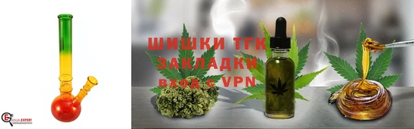 прущие грибы Беломорск