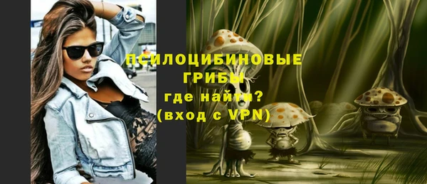 прущие грибы Беломорск