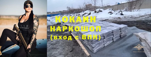 прущие грибы Беломорск
