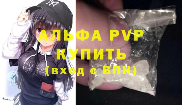 прущие грибы Беломорск